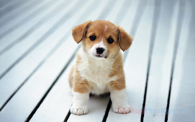 Gemma Bardsley (@gemmabardsley23) on Twitter photo 