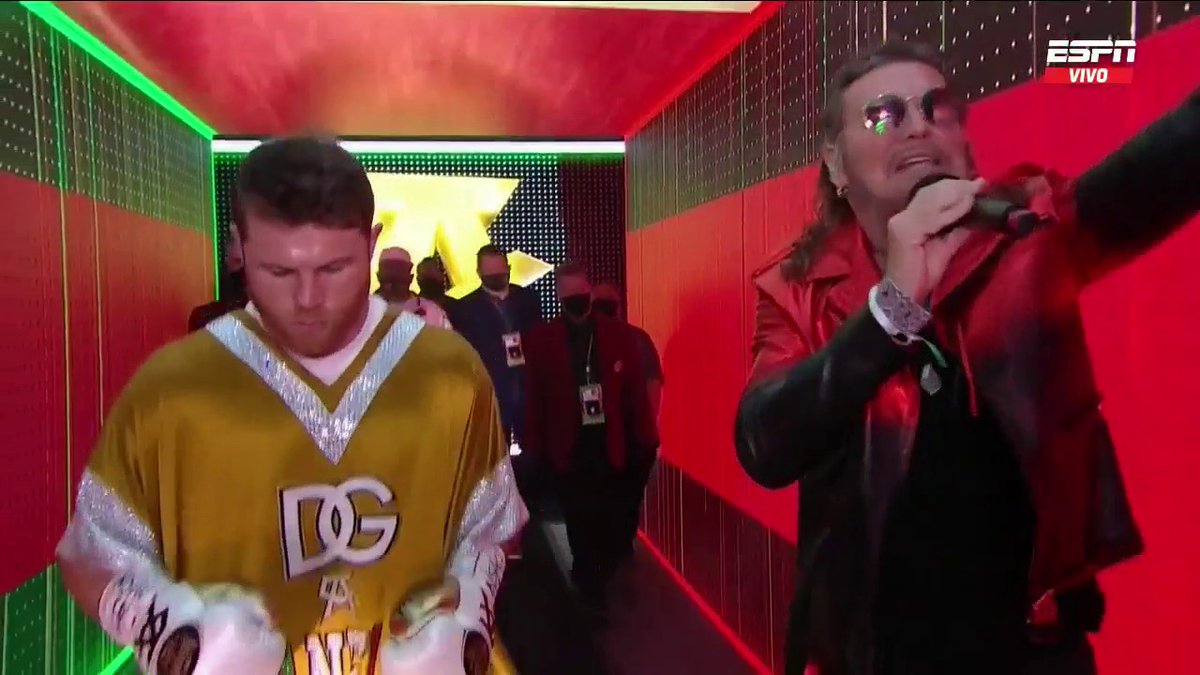 Marcelahabibi's tweet photo. Canelo https://t.co/hNOiLUFL0a