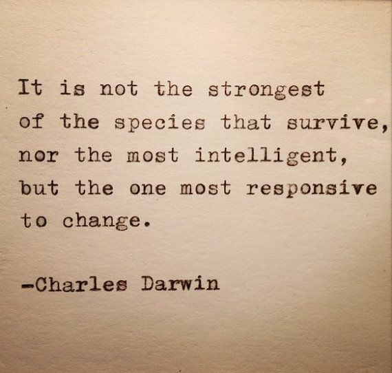 Amitosh_Gautam's tweet photo. Embrace change &amp; adjust to it.

#motivation #climate #ClimateEmergency #COP26Glasgow #PositiveVibes #quote #sundayvibes #ASTROWORLDFest #BB15 #FrenchOpen2021 https://t.co/rrIJSb6kWV
