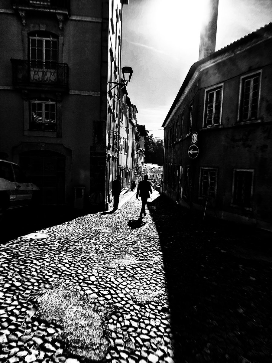 ruitofernandes's tweet photo. "All that is gold does not glitter,
Not all those who wander are lost."
(J.R.R. Tolkien) https://t.co/clCXSOpq5O