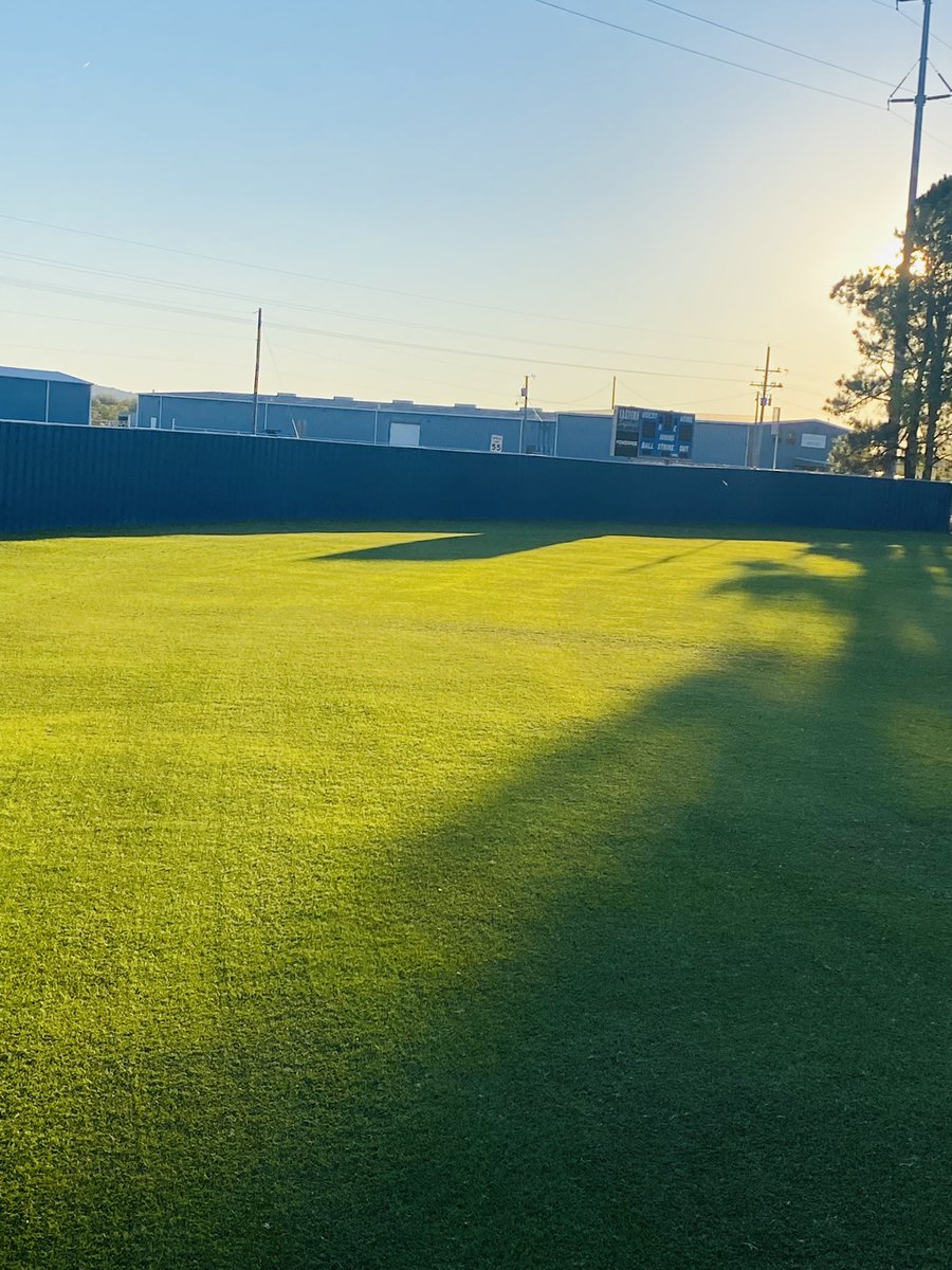 It’s rye season!  #NewGrassOnTheField