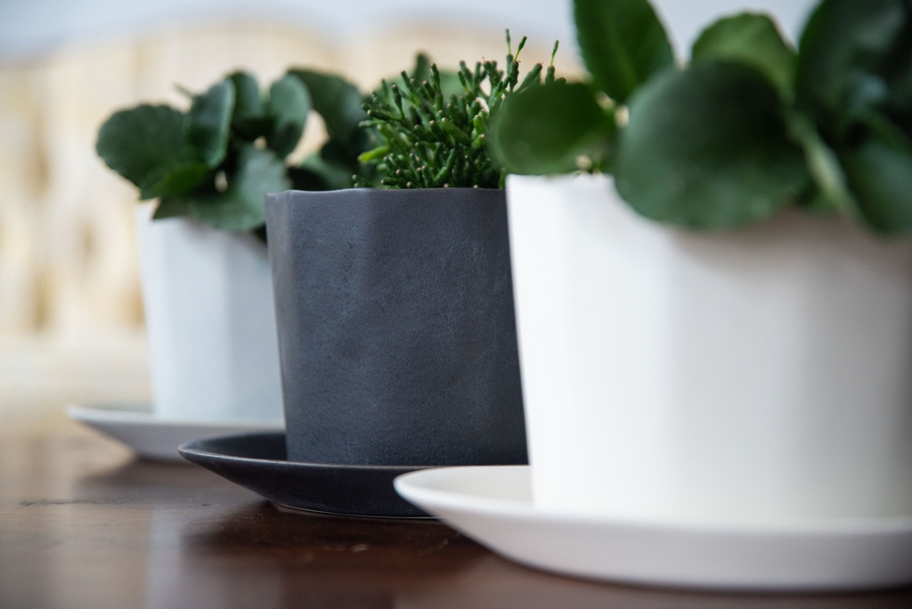 thebrightangle's tweet image. It's getting cold out, but we're still enjoying our plants indoors! What better way to add art + greenery to your daily lives than with a set of our native planters 🌱

l8r.it/2Q72