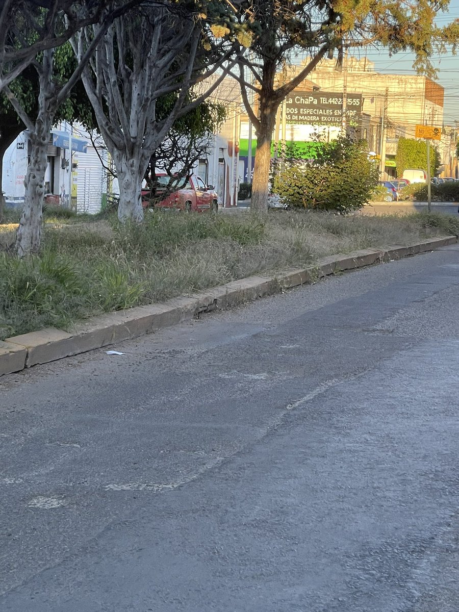 carboney_israel's tweet photo. Un llamado al @qromunicipio por el mal estado de los camellones  de la Colonia Estrella, Queretaro. https://t.co/SEA5Y16lLg