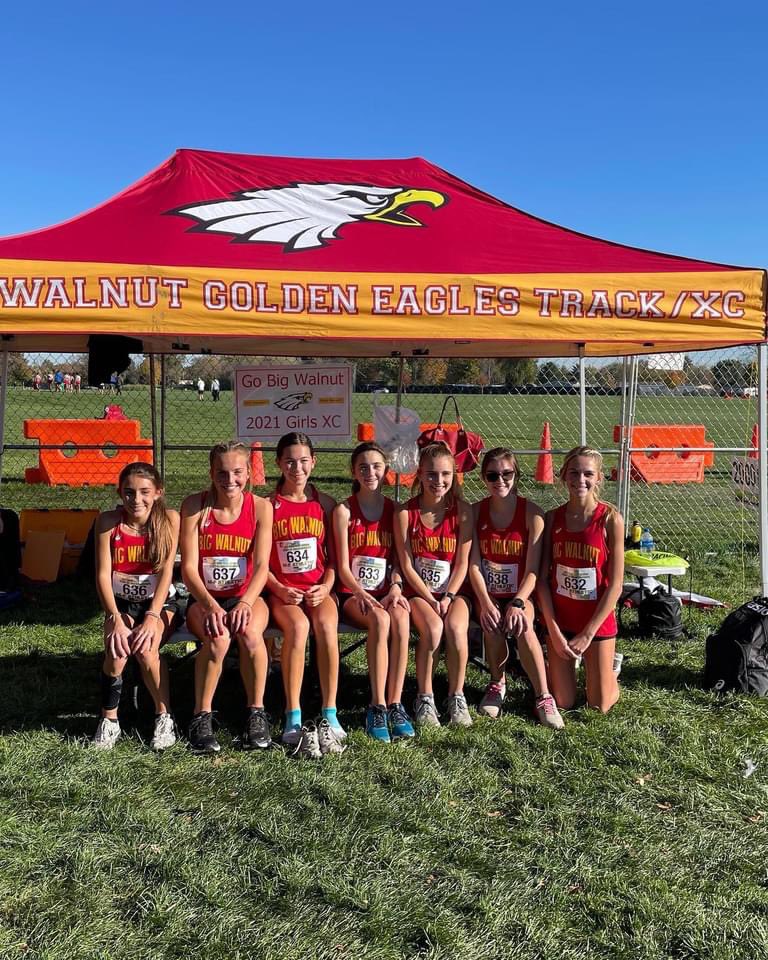 nskelly's tweet photo. So, so proud of these girls!!! They ran their hearts out today in the state cross country meet!! The first place girl  from Gahanna Lincoln ran a 17:32! 😳 That is CRAZY fast!!! #thebestisyettocome #bweagles #BWXC 💛🦅❤️ #bigwalnutcrosscountry #runlikeagirl @BigWalnutEagles https://t.co/jsVwbbUWFE