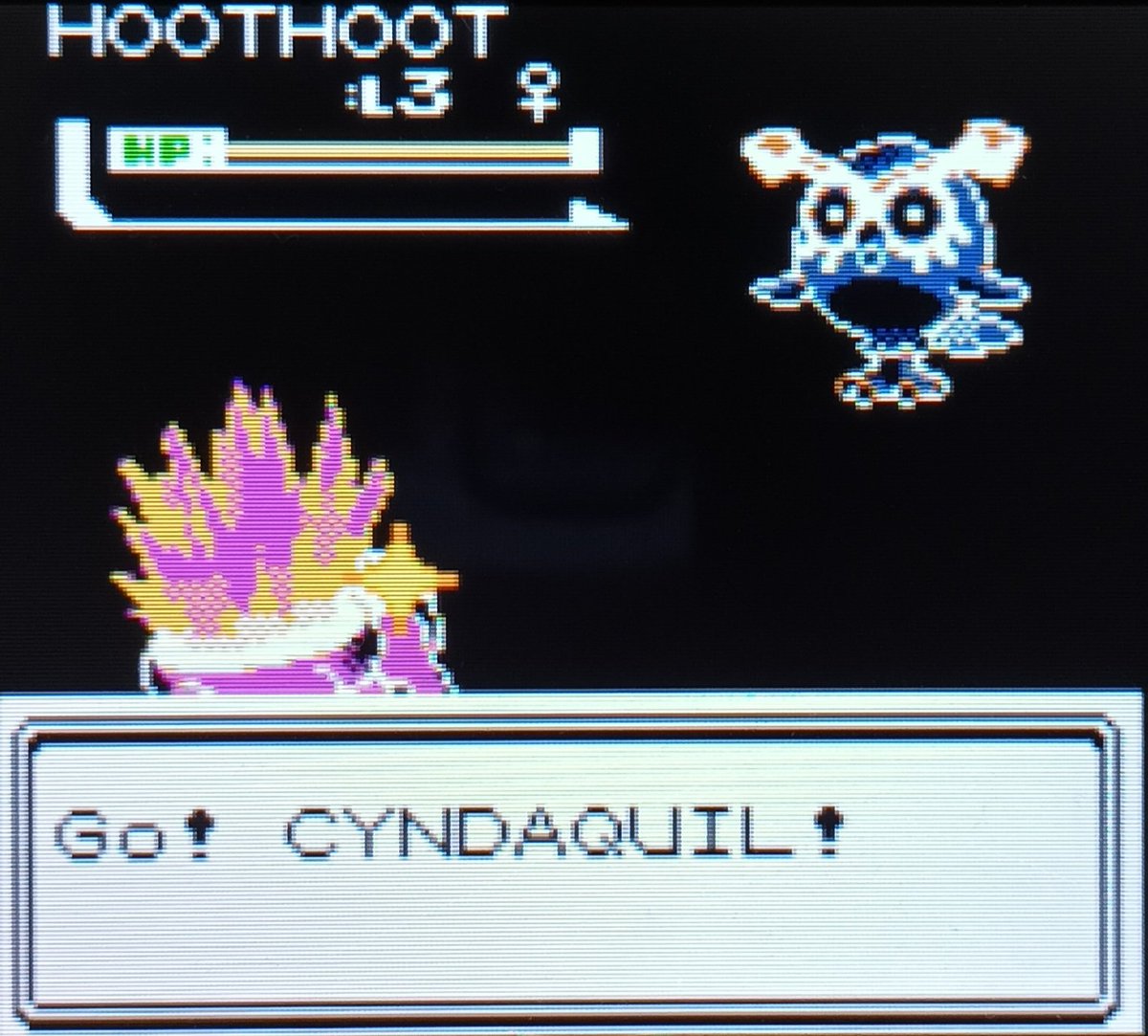 darkUltron_'s tweet photo. Hey ! Un ptit moment que j'ai pas posté un shiny, notamment du à la reprise de ma shasse au Curry, mais se soir j'avais envie de faire autre chose, et sur un coup de tête, je commence et termine 🙃 la shasse de Héricendre en seulement 249 resets 😍 https://t.co/6EcfX7faqv