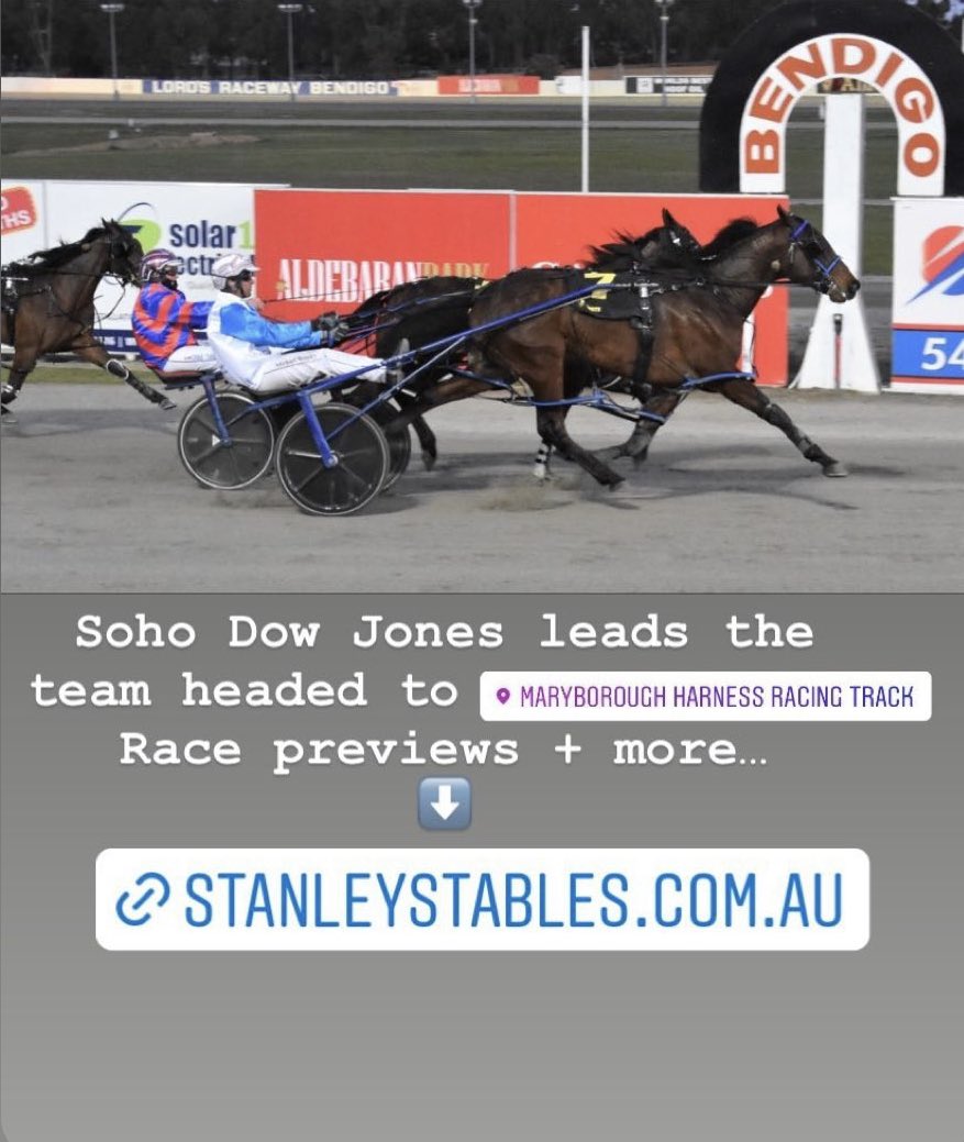 stanley_stables's tweet photo. https://t.co/MUMaLXiQD8 https://t.co/94jI0vzv5a