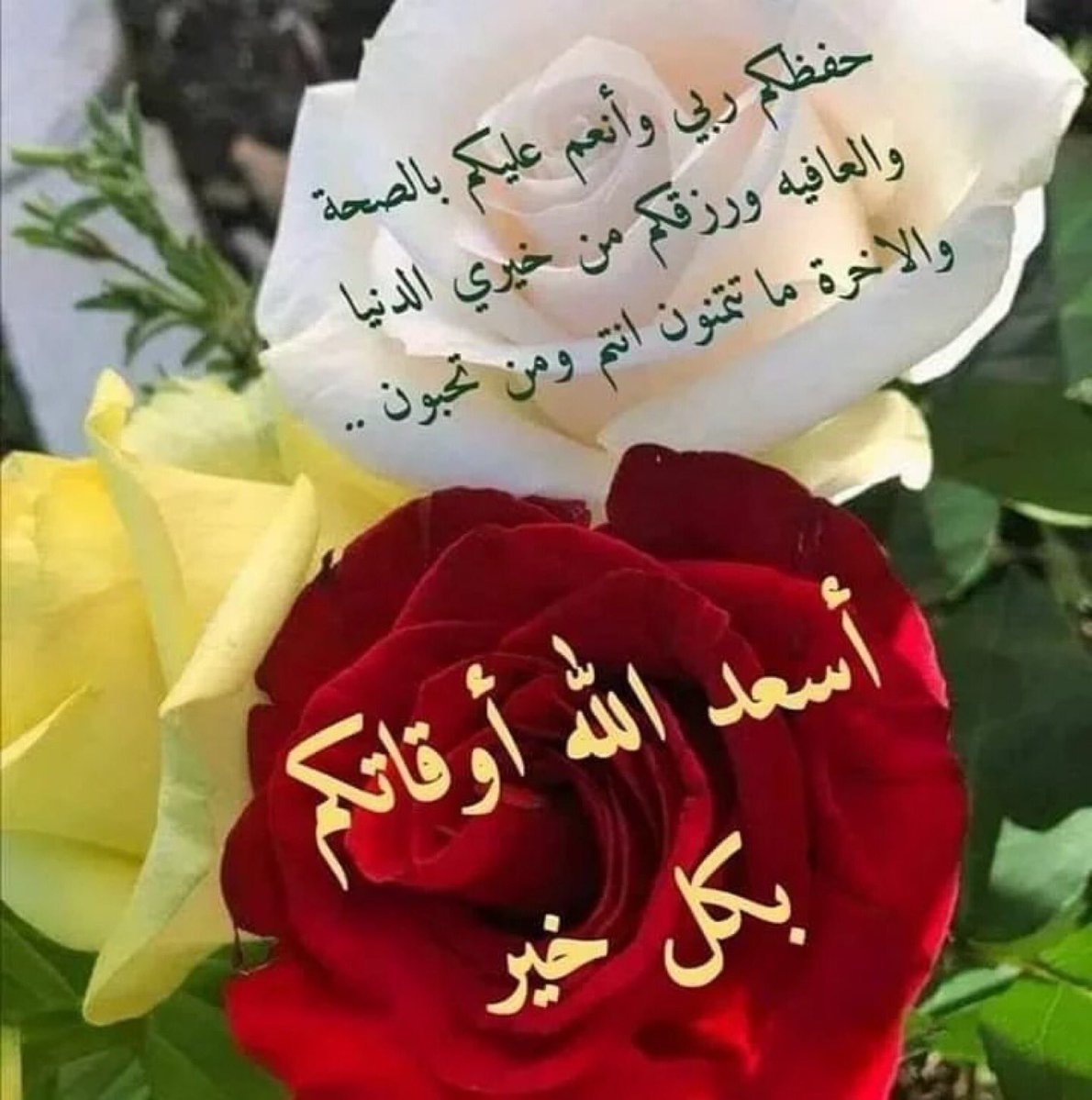 fallenprisoner's tweet photo. صباح الخير 

#صباح_الخير https://t.co/mc7TSlyQxl