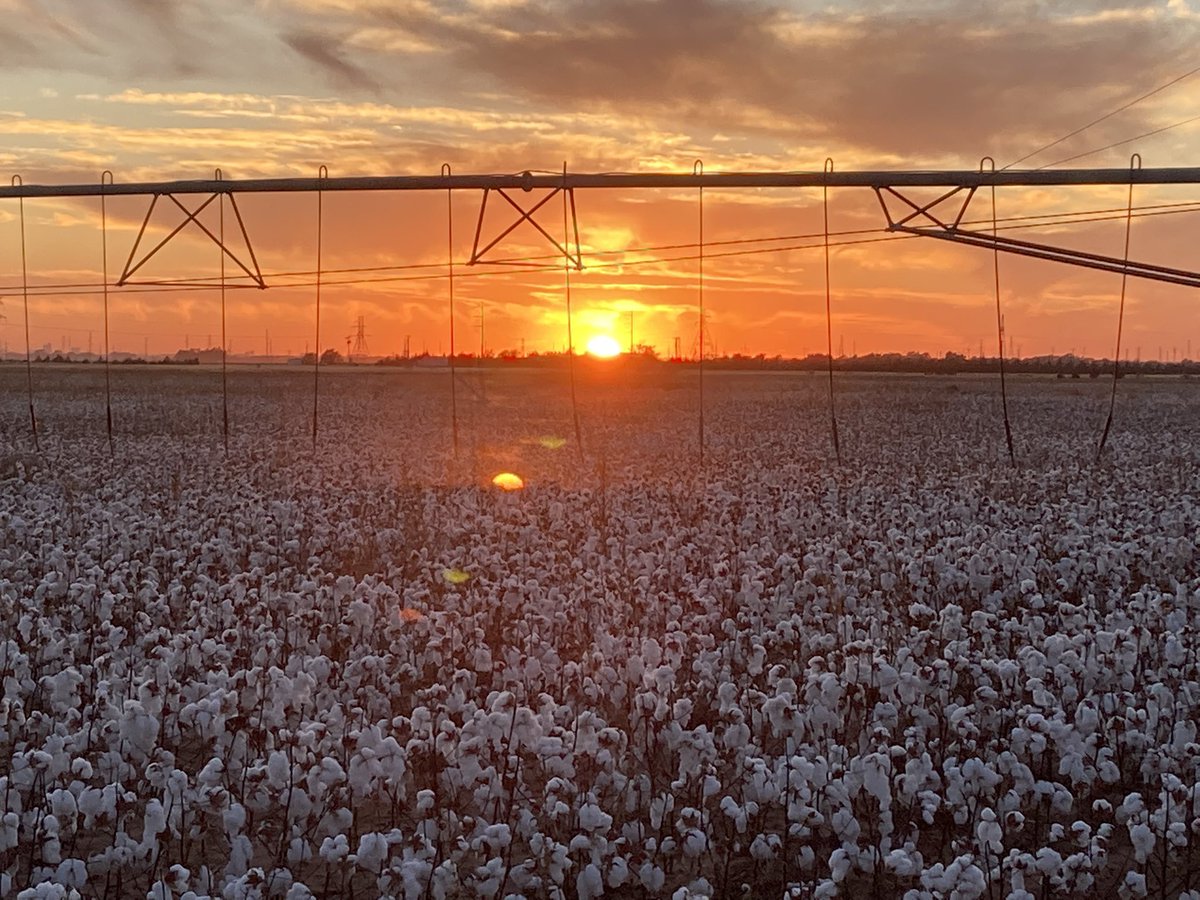 PerkinsRuss's tweet photo. #West Texas Sunsets are the best.  c ya tomorrow big guy 😎 https://t.co/Yz4pWL2uDK