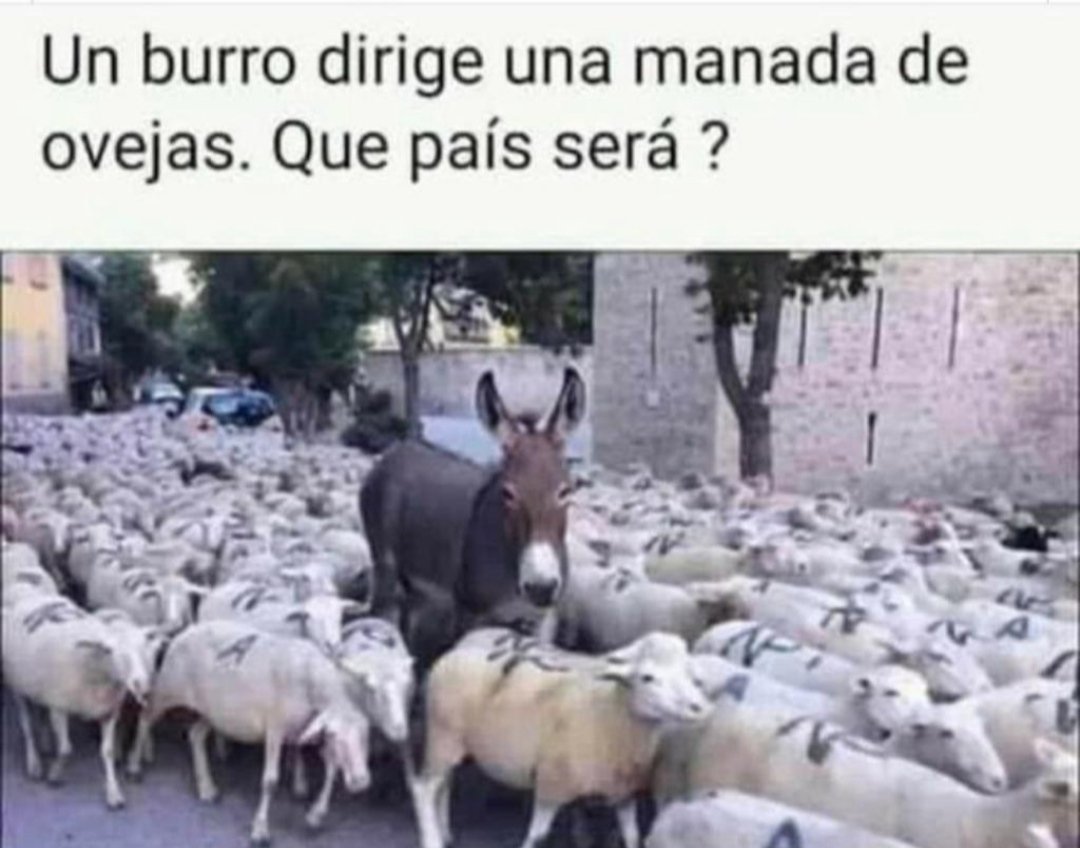 DrHumbertoVliz1's tweet photo. @GilSanchez1968 @JusticieroLetal @dhgb30 @eviltwin1280 @DoncaTm @CONSUMEAZUCAR @adelinaced @justcoachkarol @oreacort65 @nnunezortiz @marabernal7 @gotita_demar @DonVocero @MaTere_Mendoza @Navarys2 @carmen_mmxm @Mexxxikn0 @coronaoso @Funesta @O_Diosa78 @josegrillosr @Alfanges @ricky_jc @estupidonio @ConstruyeDga @MarVelizN @RobertEdwinHous @piolin_lpz @KarinaVazquezE @mas07angel @Ma83678374Badtz @juliaborquez @facman8 Ya no Amigo
Un poco arriba explique que me tumbaron 3 días
Pero #Yastas
Y aquí seguimos, a la orden
Ni una sola lucha aislada más https://t.co/mjYCfTKNoz