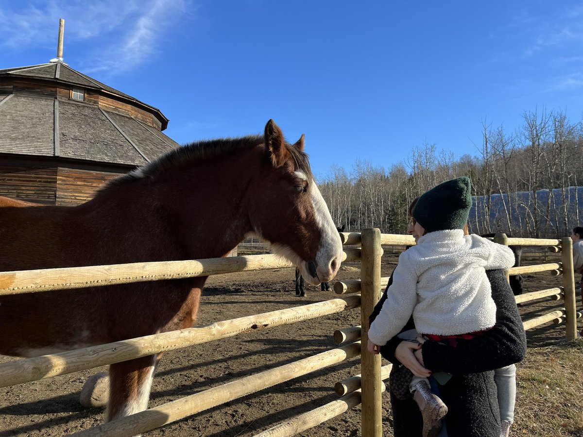 CortyQuinn's tweet photo. A gorgeous fall day at @FortEdPark full of wagon rides, petting ponies, exploring the Fort and learning about Indigenous &amp; Métis in Treaty 6. 
#FortEdmontonPark #ExploreEdmonton https://t.co/jFhNXYWEpn
