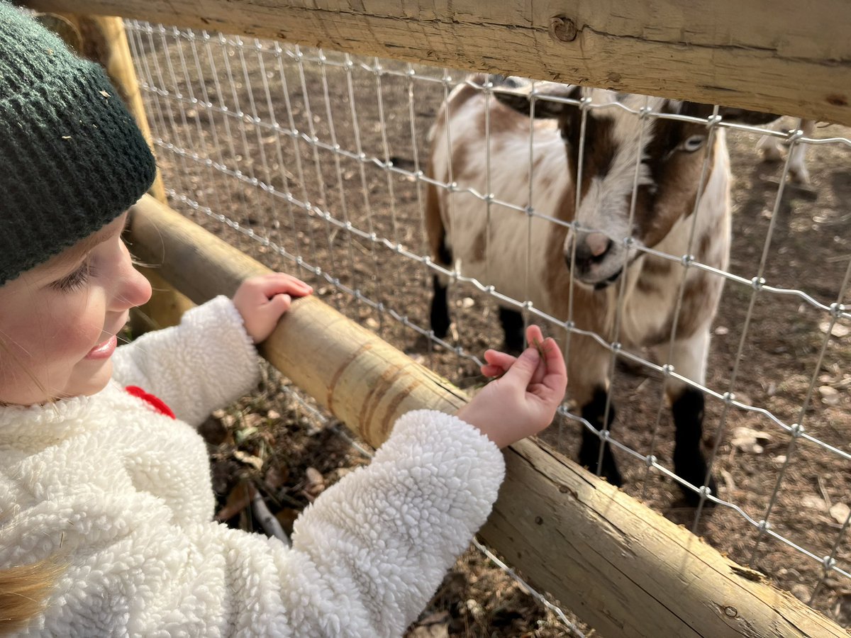 CortyQuinn's tweet photo. A gorgeous fall day at @FortEdPark full of wagon rides, petting ponies, exploring the Fort and learning about Indigenous &amp; Métis in Treaty 6. 
#FortEdmontonPark #ExploreEdmonton https://t.co/jFhNXYWEpn