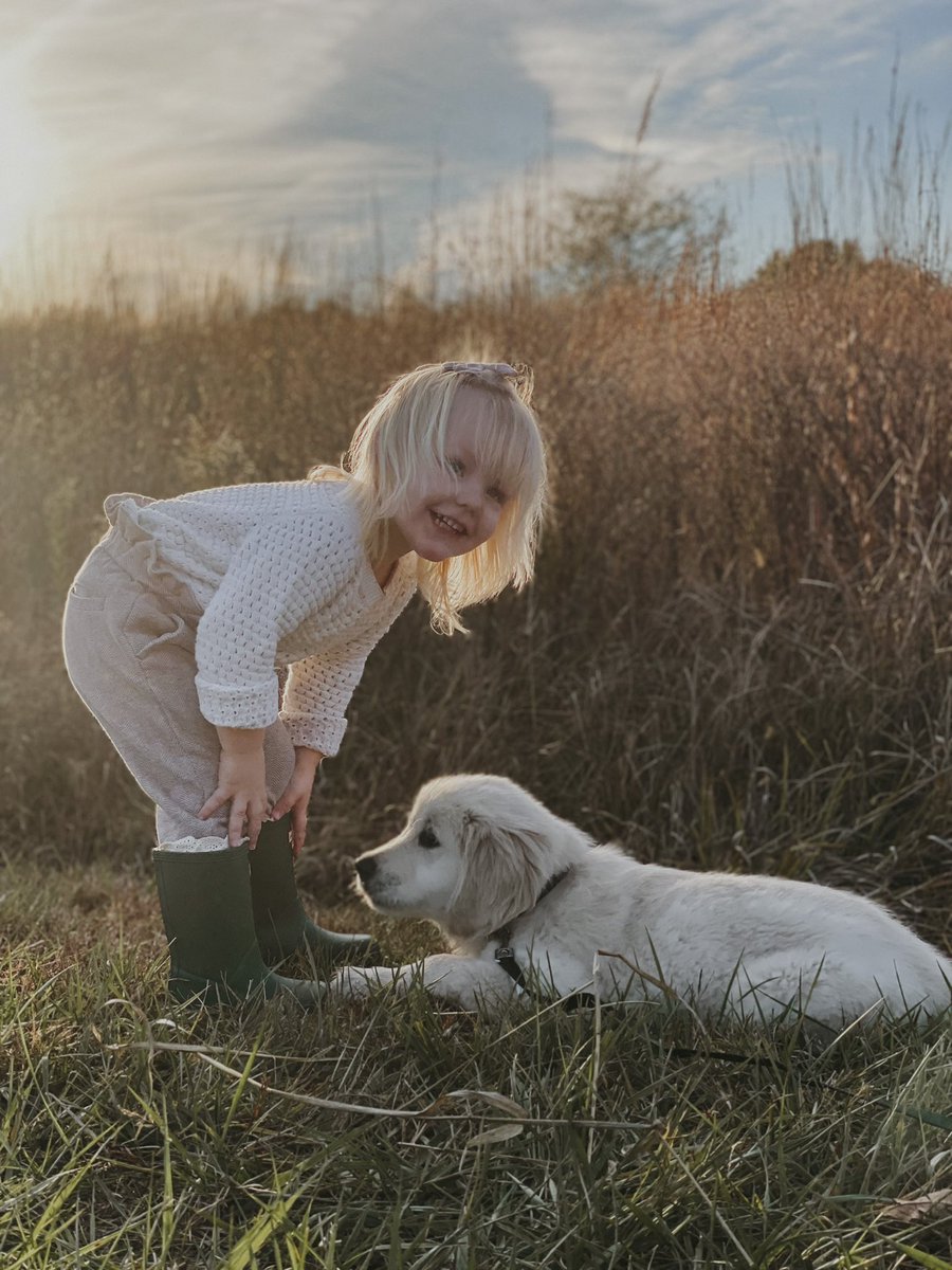 ChelsDerks's tweet photo. To say she loves the dog would be quite the understatement. https://t.co/fVgWoWWWtK