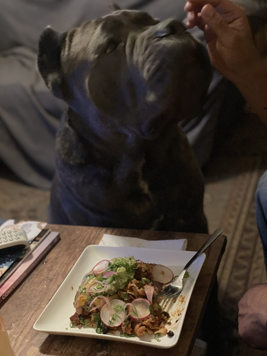 GandaraMark's tweet photo. Sharing some Nachos with my favorite Nacho. #NationalNachosDay #CaneCorso #cookfromhome https://t.co/EFzHHenh7h