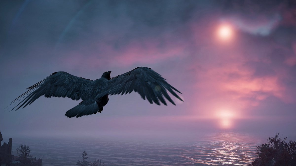 SkyakinGamer's tweet photo. #SimpleShotSaturday | @WorldofVP
Game - #AssassinsCreedVallhalla
#VirtualPhotography #ACValhalla #virtualanimals #virtualwildlife #gaming #gamescreenshot #ps4share https://t.co/wEJXSu1Y6B