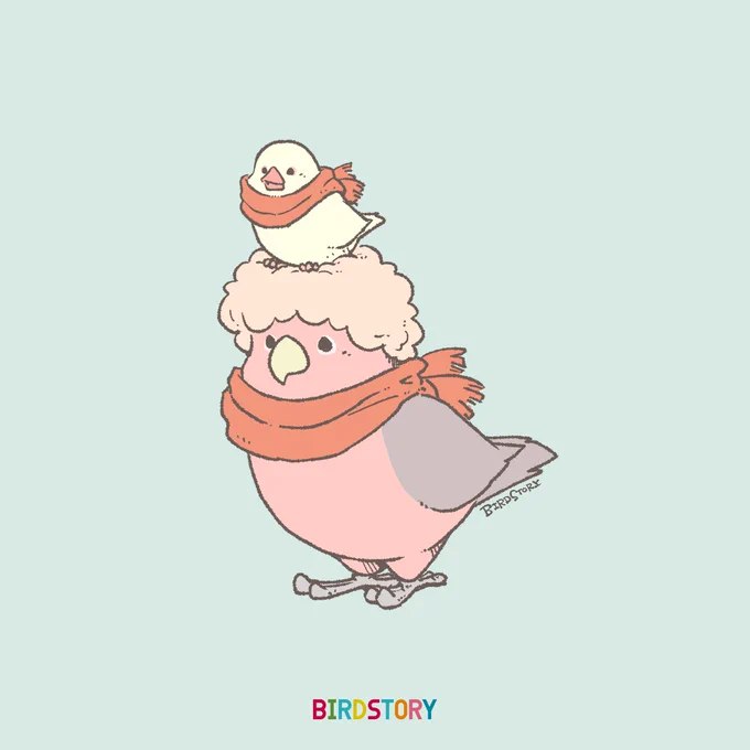 おはようございます。
本日は11月7日、二十四節気のひとつ、立冬とのことです🐣
暦の上では、この日から冬になるそうです⛄️
#BIRDSTORY 
#立冬 #モモイロインコ 