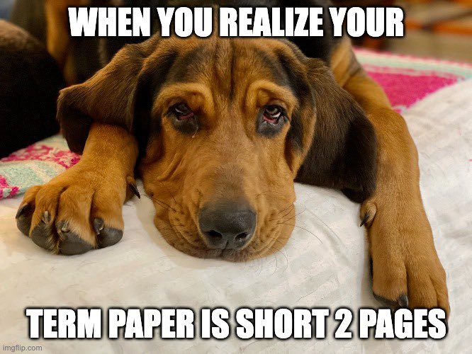 CWatersPhotos's tweet photo. Students everywhere have all been here before! #studentlife #researchpapers #collegelife https://t.co/UzwGIzW5R2