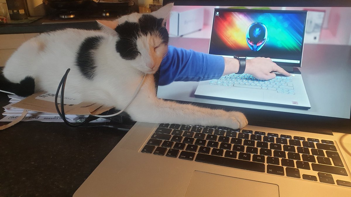 theLABvisuals tweet media