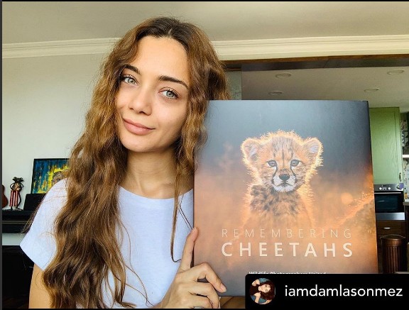iamYvonneBerry's tweet photo. #rememberingcheetahs #annabellewallis #DamlaSönmez https://t.co/oOehhUYBOL
