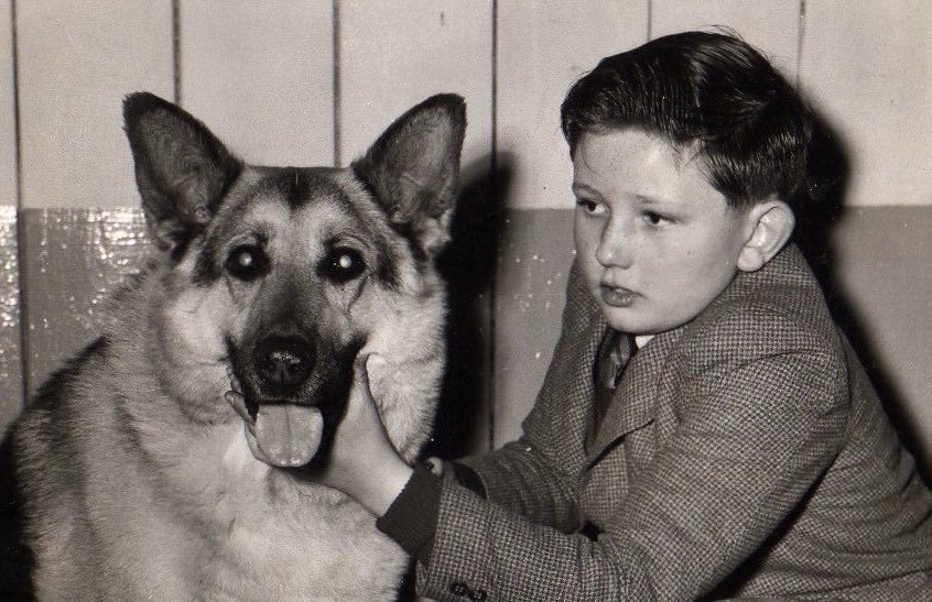 David Coverdale tweet media