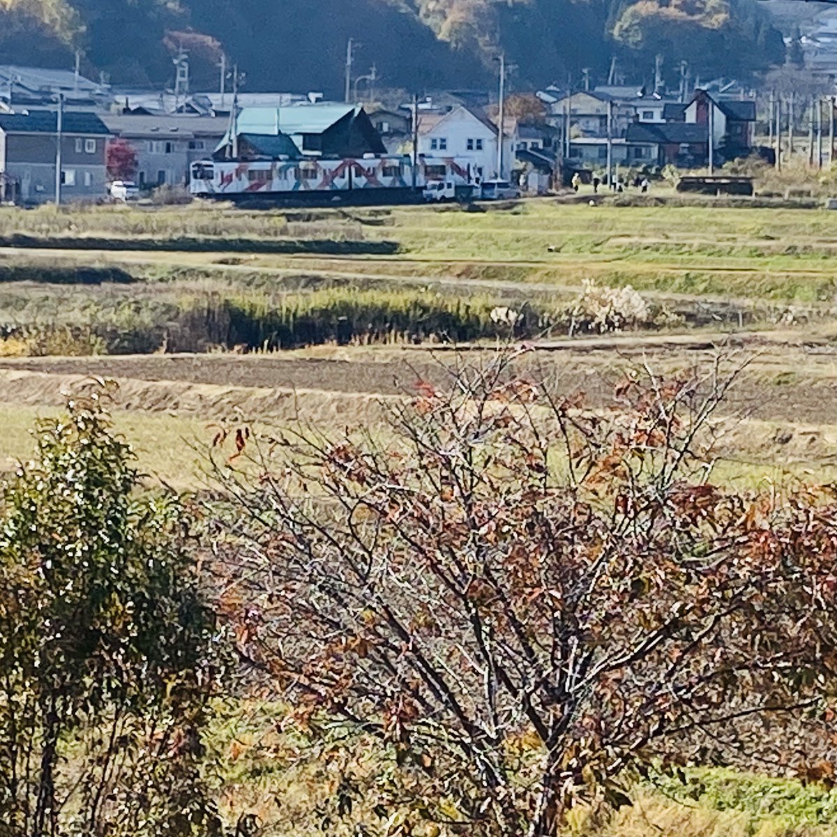 別所温泉比蘭樹の踏切で別所線事故。
今10時。消防車は帰ったよ。パトカーと上田電鉄の方はまだ残ってるよ。事故の車両も停まったままだよ。
ケガ人などありませんように、そして宿の方々とチェックアウトのお客様に、この情報届け〜
#別所線　#別所線事故