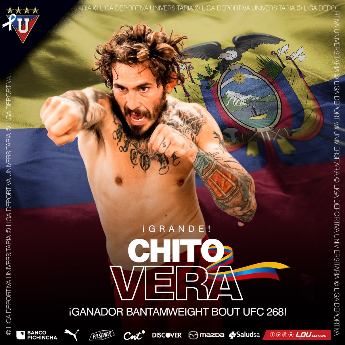 LDU_Oficial's tweet photo. GIGANTE @chitoveraUFC 👊🏻

Todo el🇪🇨está orgulloso 👏 https://t.co/xyTUhKbniq