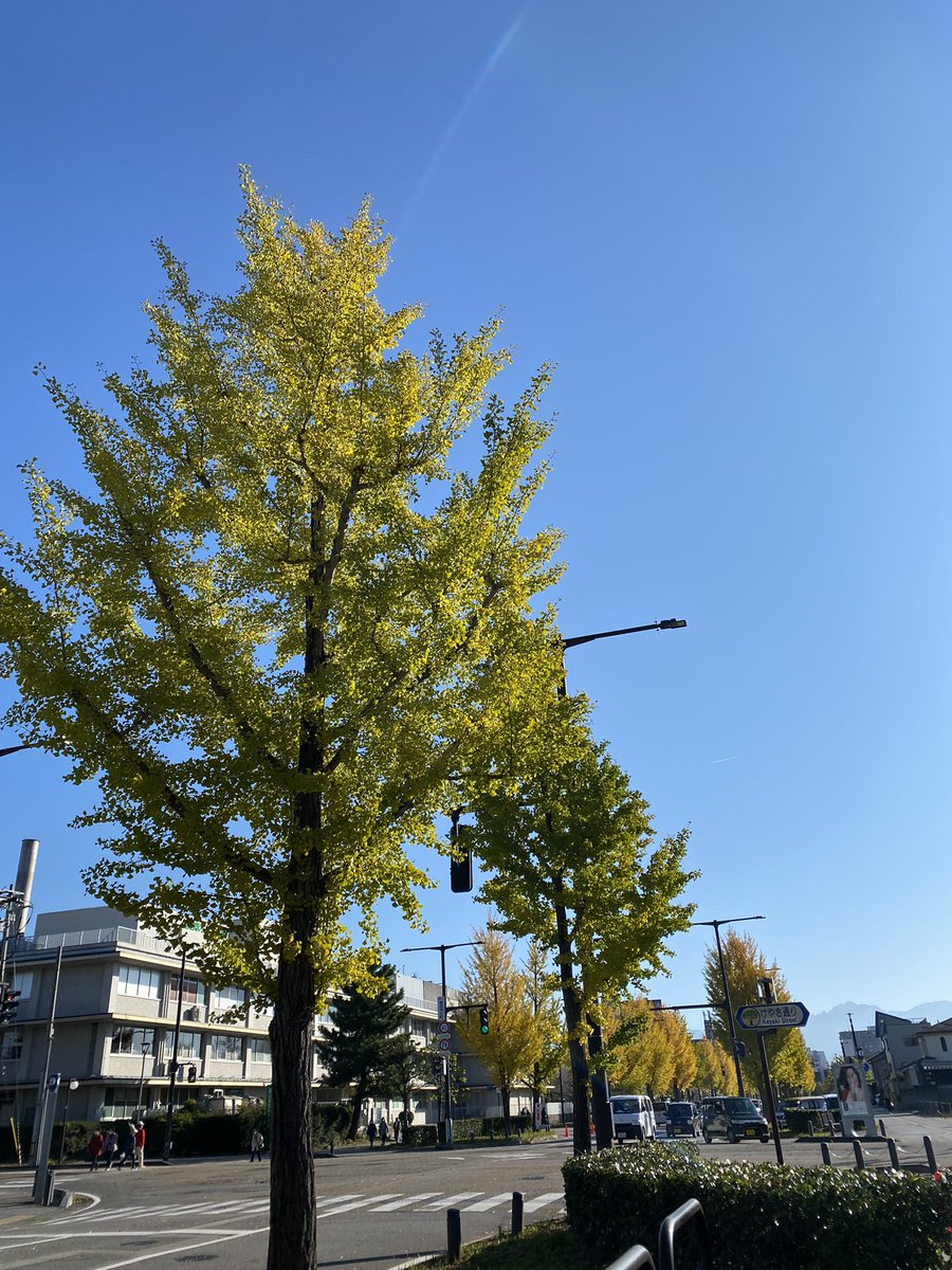 StylingNon's tweet photo. #富山市
#護国神社
#蚤の市
天気も良くて最高
紅葉も素敵でした https://t.co/FVLbcGsPlN