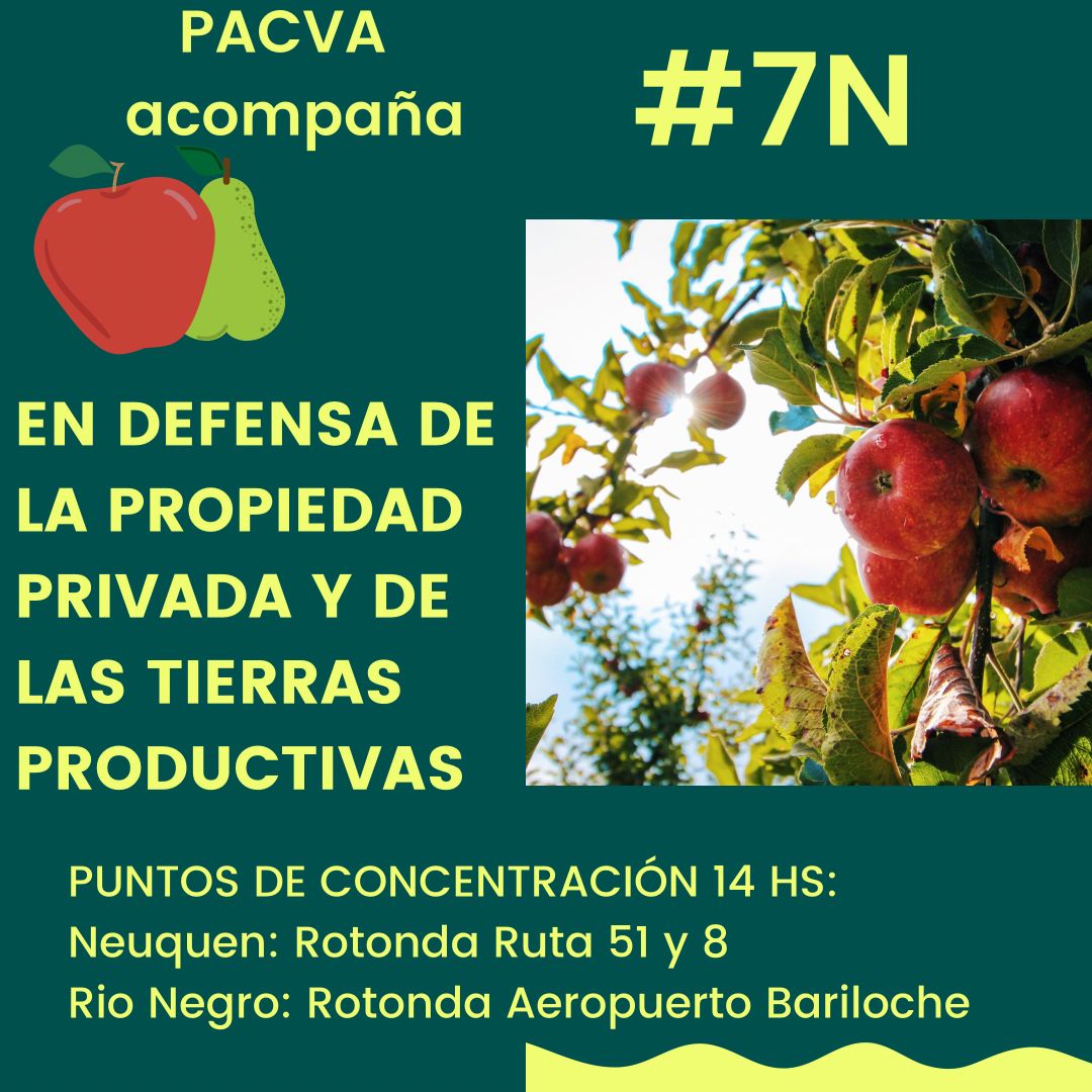 SandokanAca's tweet photo. #7NBASTA en todas las plazas ! https://t.co/atp4vV8MLE