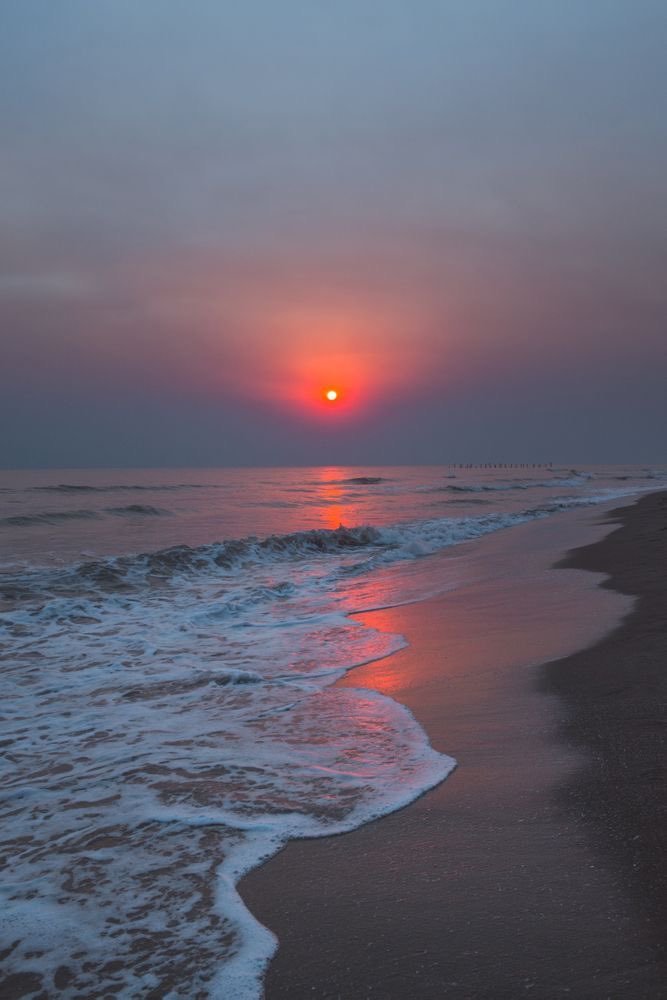 aestheticspost_'s tweet photo. How calming is this https://t.co/j3XgasLpiv