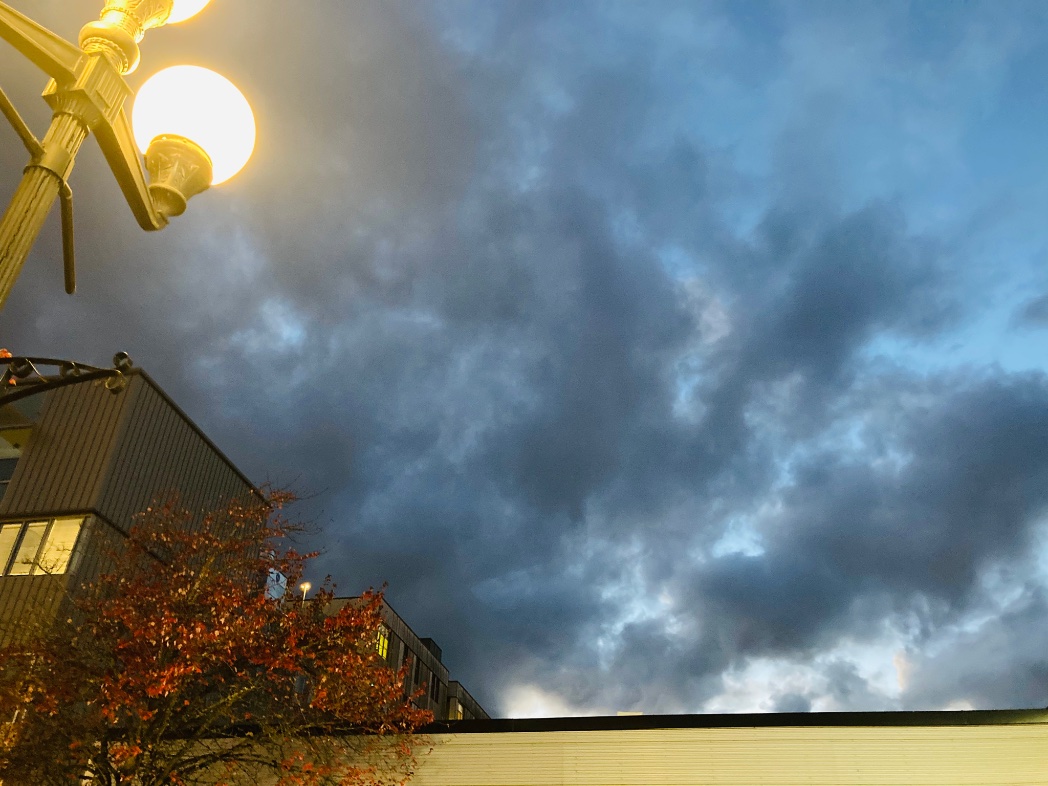 Olives on Olive Street. 

#Eugene
#GameDay 
#SaturdayNight 
#DailyPhoto