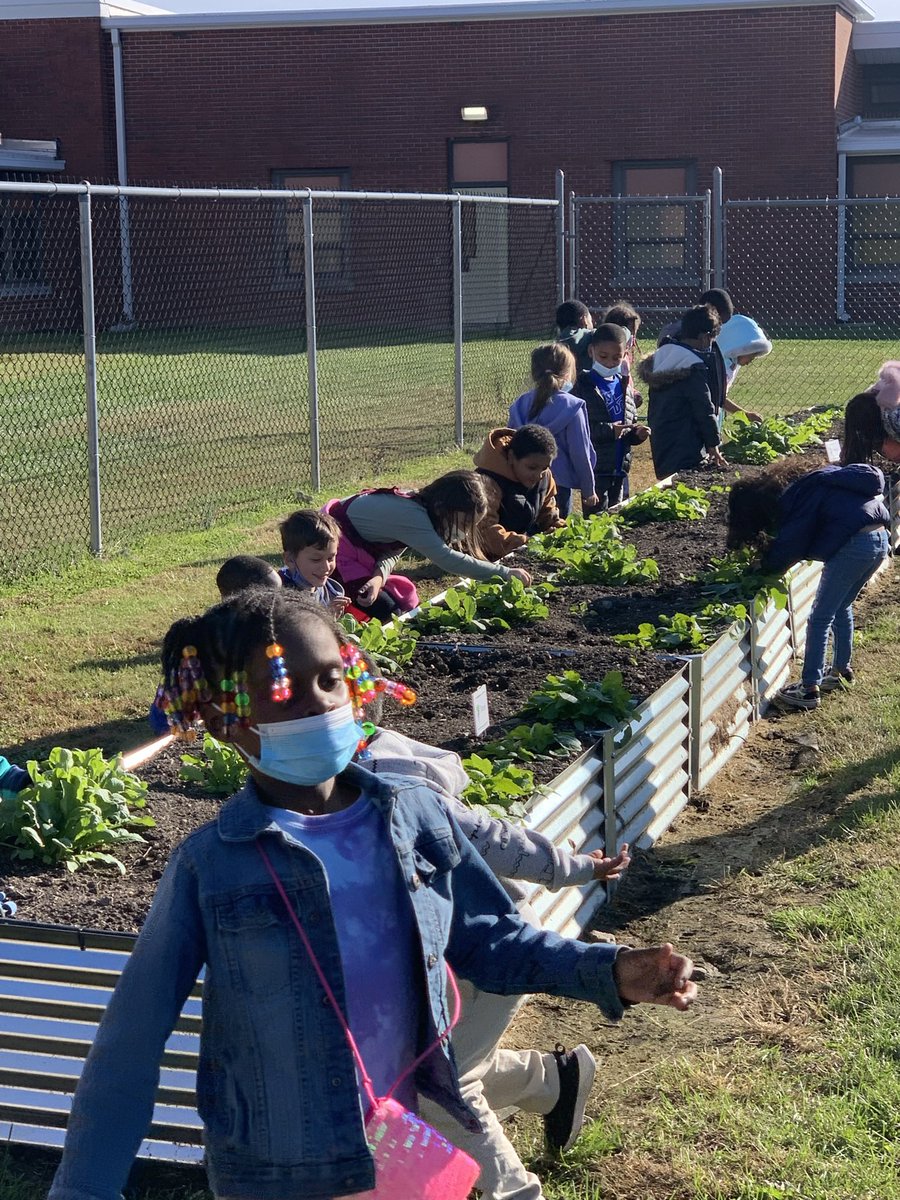 KiseCrew's tweet photo. Checking 🧐 for turnips and radishes!  #cddolphins @HealthyFoodsDE https://t.co/5Q1KIC2R3t