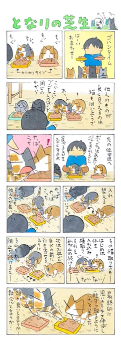 妹のものは│フェリシモ猫部 https://t.co/fU2N1K72mY 