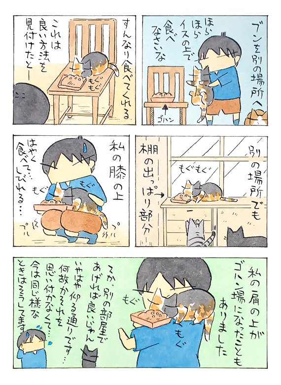 妹のものは│フェリシモ猫部 https://t.co/fU2N1K72mY 