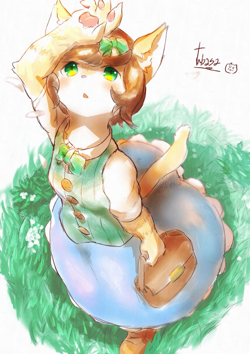 原稿の合間に猫ちゃん🐱 