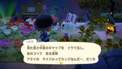 PasmoCrossing's tweet photo. ペチカのレックス評ウケる。
#どうぶつの森 #ACNH https://t.co/KavqXWU6mC