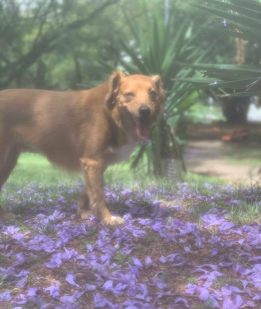 odinsrd's tweet photo. Diz a lenda que quem enxerga esta foto embaçada é porque já torrou o décimo terceiro sem ainda ter recebido.

Será que essa lenda funciona mesmo?! https://t.co/qMRLSavKvg
