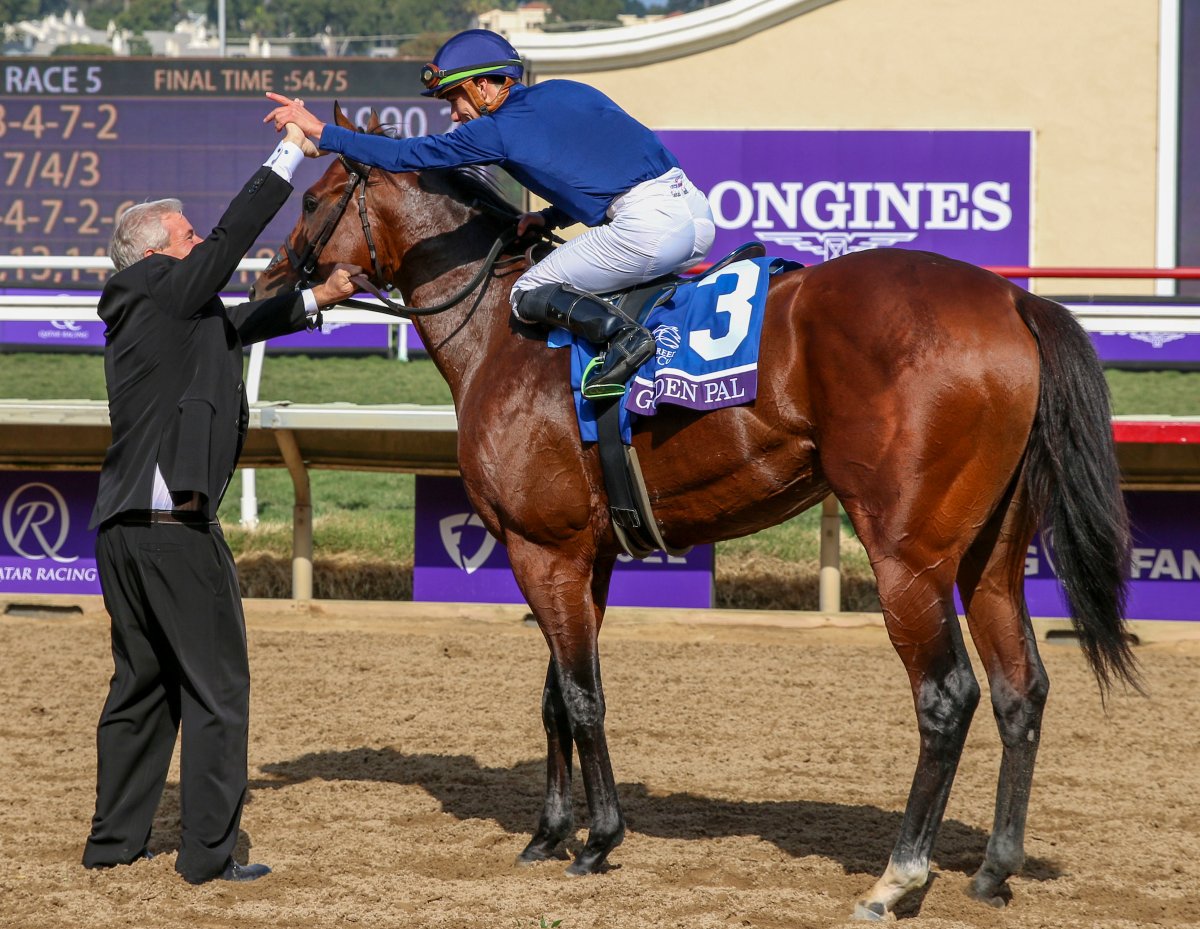 keenelandsales's tweet photo. It's sweet celebrating Saturday @BreedersCup victories for our #KeeGrads! https://t.co/i9T2J56xa0