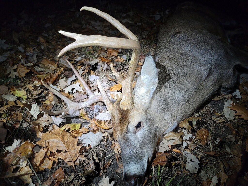 Hunter9David's tweet photo. Here he is the big 8! He’s been around for several yrs! I told myself the first mature buck to walk out is getting stuck! Thanks to my brother @JordanR785 for helping me drag him out! Boy does he stink! Rutted up something terrible!!! https://t.co/BzkL2PknEH