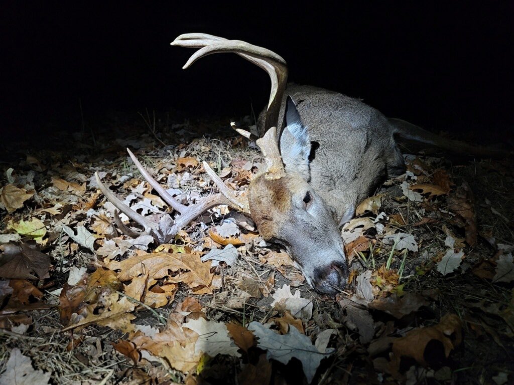 Hunter9David's tweet photo. Here he is the big 8! He’s been around for several yrs! I told myself the first mature buck to walk out is getting stuck! Thanks to my brother @JordanR785 for helping me drag him out! Boy does he stink! Rutted up something terrible!!! https://t.co/BzkL2PknEH