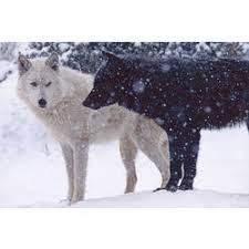 Sam Joseph Uley tweet media