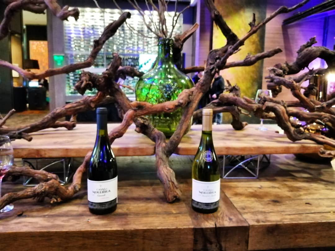 CASASDEMOLLIHUA's tweet photo. Dejando huella por Santiago con los vinos de Itata!
Grato ambiente en el @wsantiago evento organizado por @bocasmoradas 🍷🍇. .
Felices de compartir con nuestros amigos @amcumsille y @lafabuladeguarilihue
Gracias totales ❣️
Feliz fin de semana, salud🍷👏🏼! https://t.co/cxdgYIPLgo