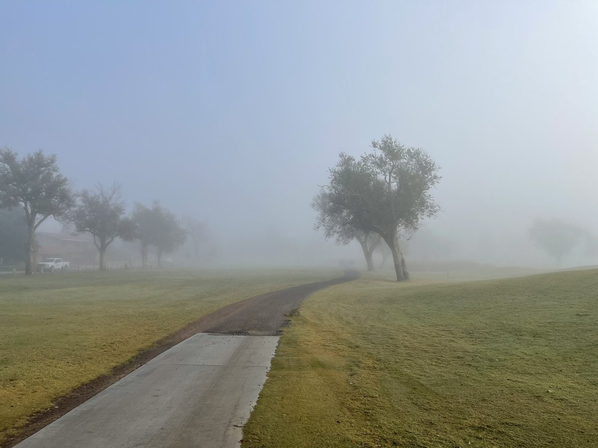 Kasey Ketelhut tweet media