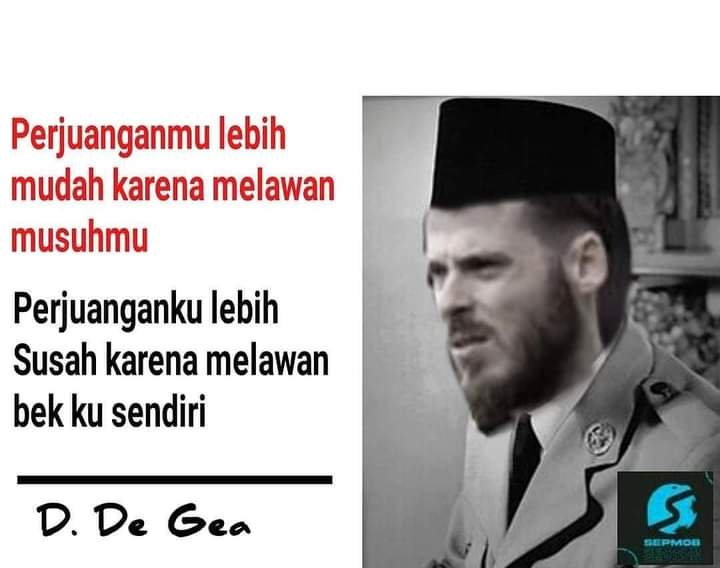 edi triana tweet media