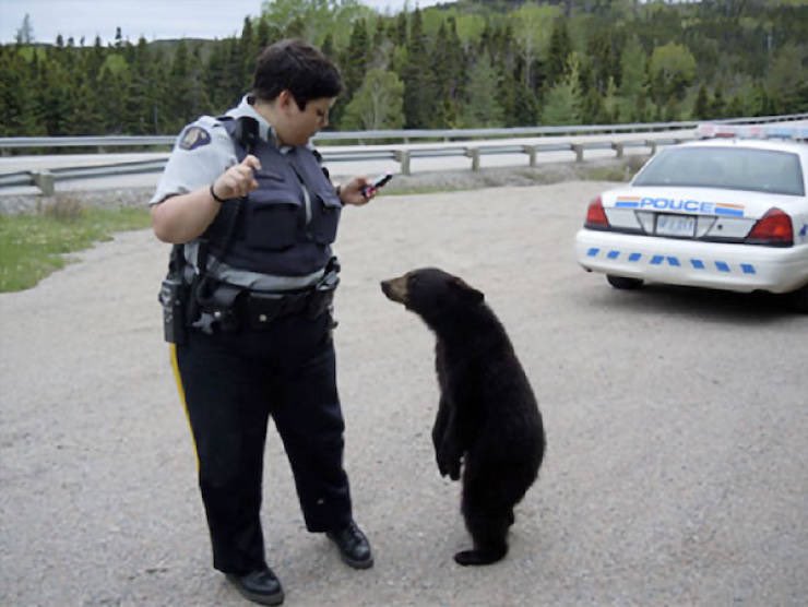 “Was there any damage?”
“My favorite chair was broken.”
“Anything else?”
“My bed too.”
“Is that-”
“Also, the little shit ate my porridge.”