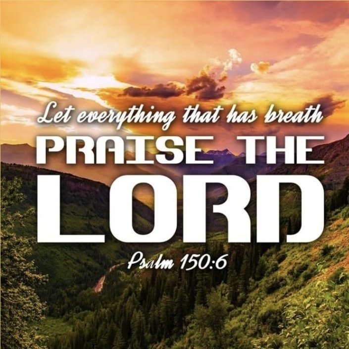 StLukesMHK's tweet photo. November 5th and 6th, Thankful Bible Verses. https://t.co/T19SSXhrP1