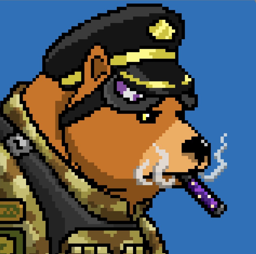 Jon_1509's tweet photo. @RaritySniperNFT @bearX_NFT My big boy 🐻#bearX https://t.co/jMG7dlIeHf