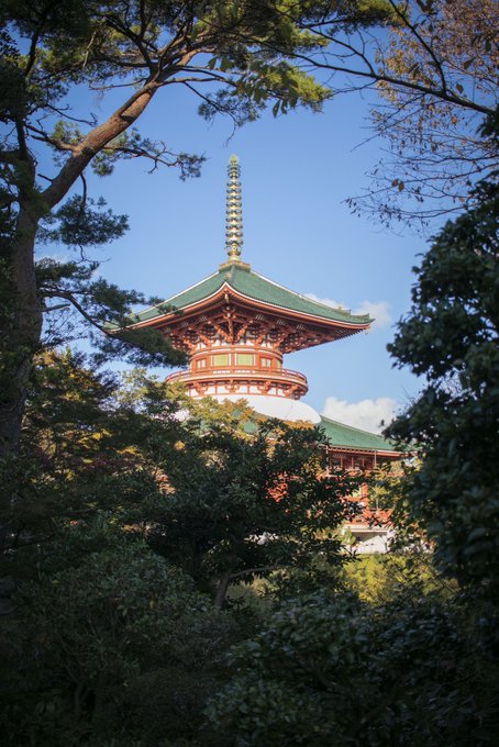 昨日行ったところは結構いい場所だったな〜 https://t.co/hhuLg71Ngi