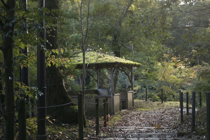 昨日行ったところは結構いい場所だったな〜 https://t.co/hhuLg71Ngi