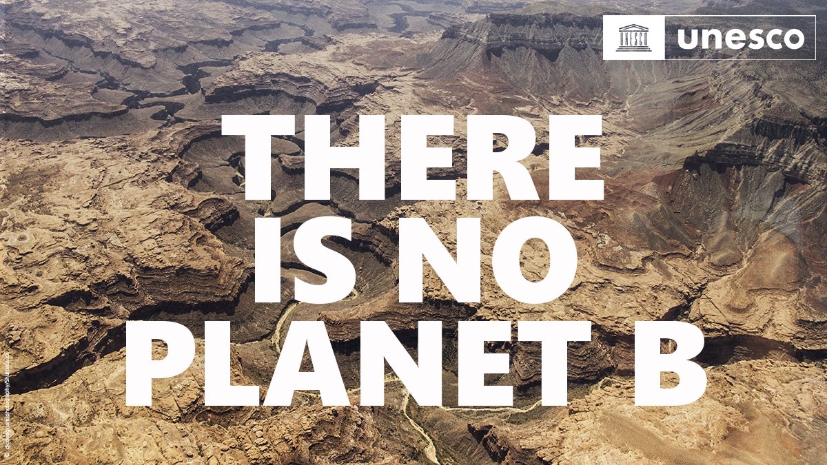 UNESCO 🏛️ #Education #Sciences #Culture 🇺🇳 tweet media