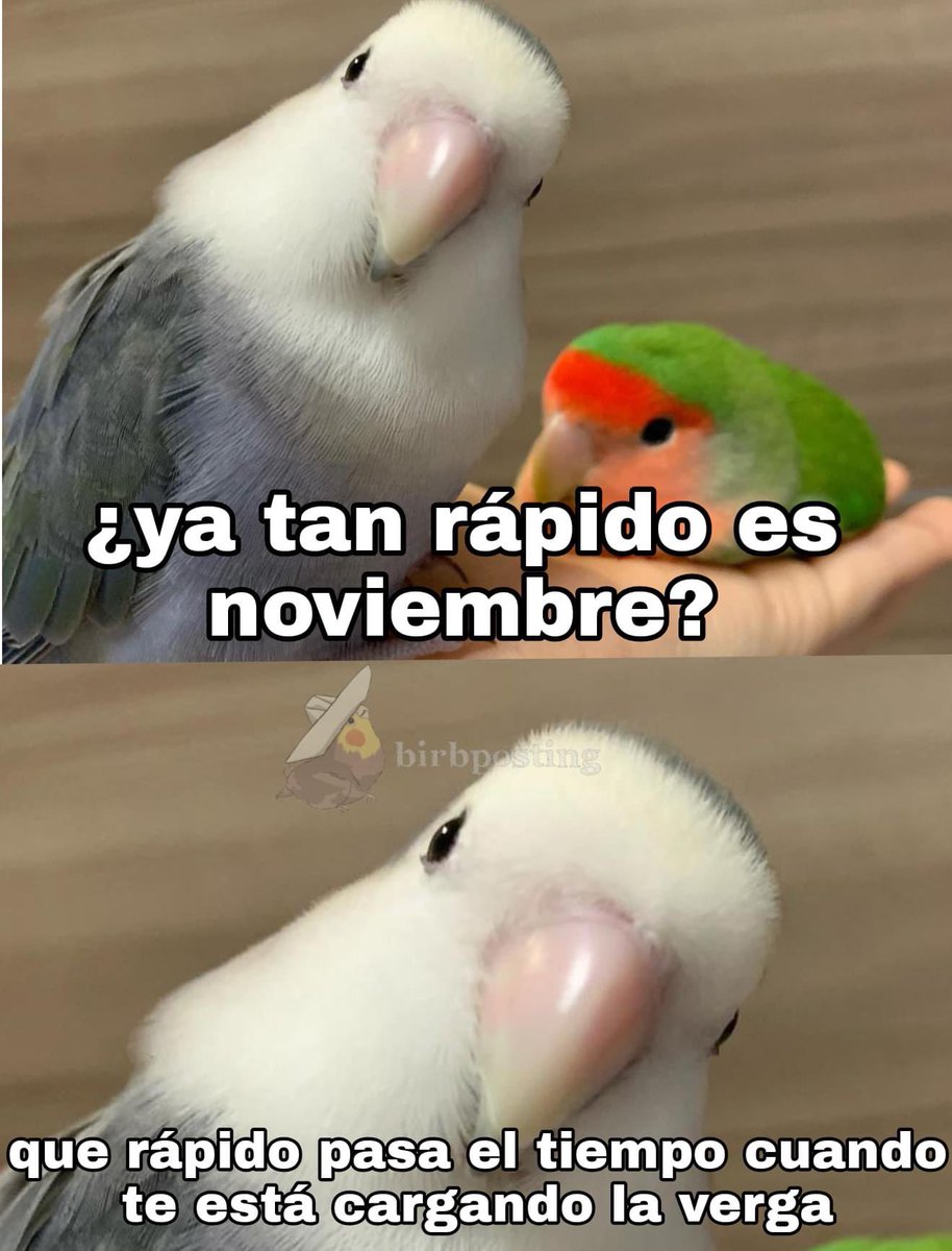 iDigoxina tweet picture