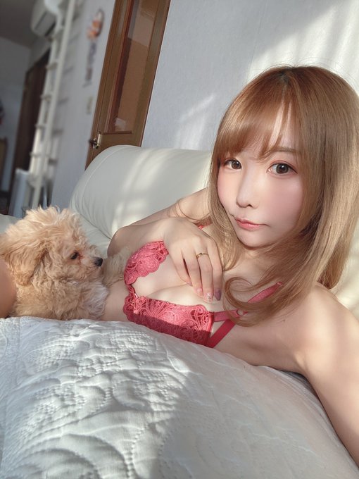 コスプレイヤーしらほしなつみのTwitter画像4